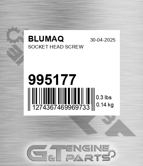 995177 Socket Head Screw for BLUMAQ