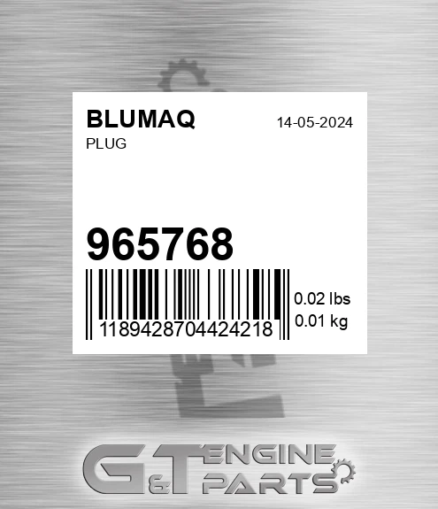 965768 Plug for BLUMAQ