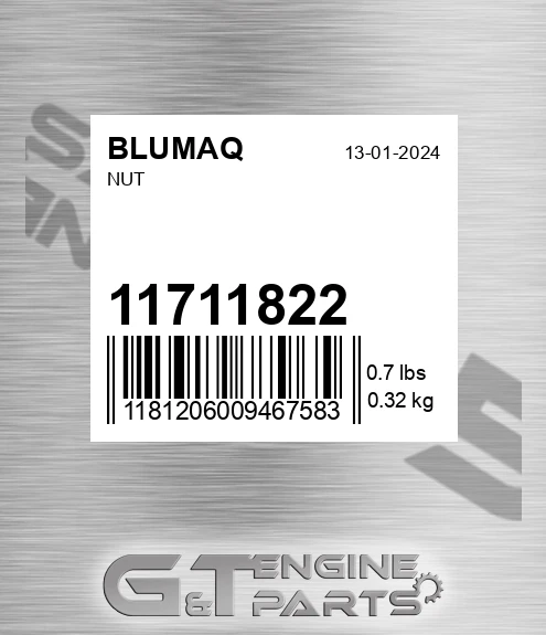 11711822 BLUMAQ Nut