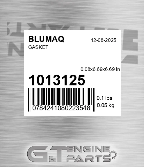 101-3125 Gasket for BLUMAQ
