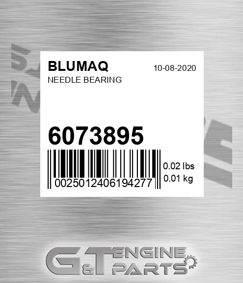 6073895 Needle Bearing