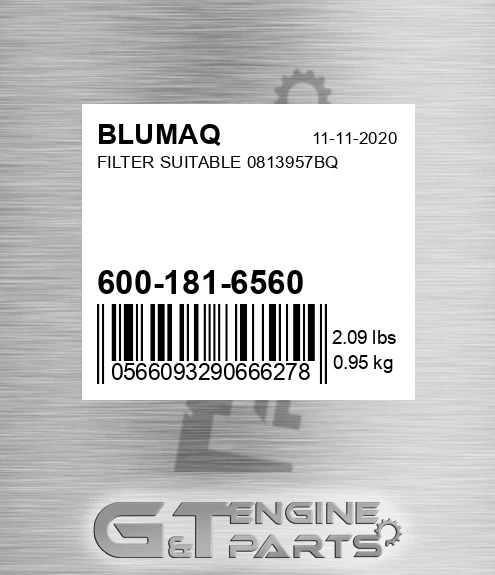 600-181-6560 Filter Suitable 0813957bq for BLUMAQ
