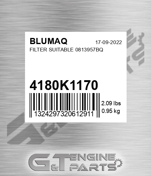 4180K1170 Filter Suitable 0813957bq for BLUMAQ