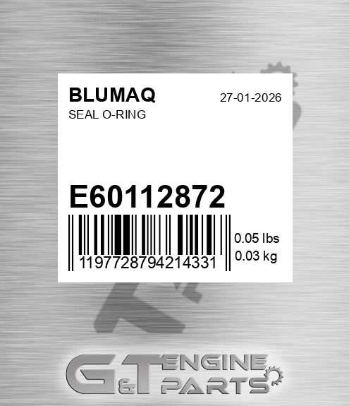 E60112872 Seal O-ring