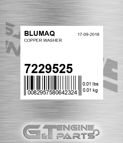 7229525 Copper Washer for BLUMAQ