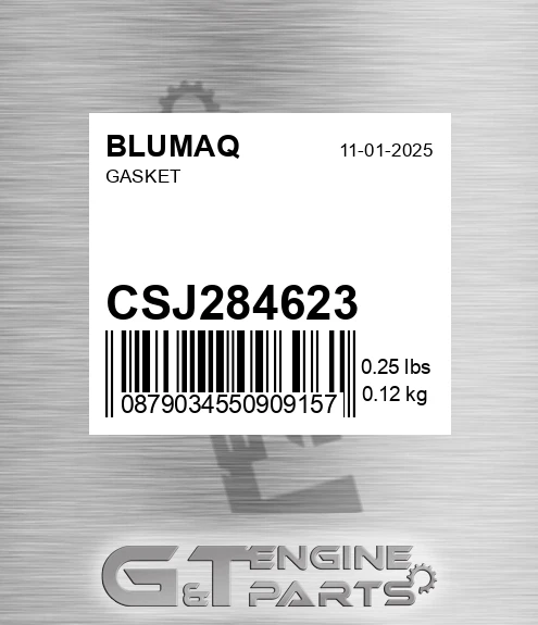CSJ284623 BLUMAQ Gasket