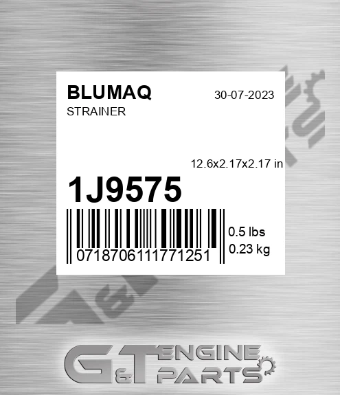 1J-9575 Strainer for BLUMAQ