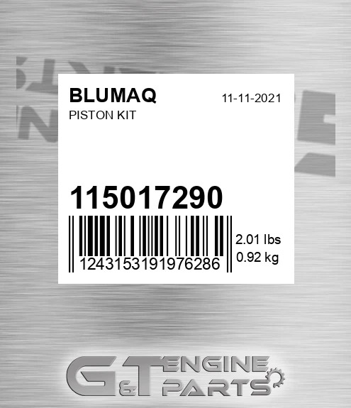 115017290 Piston Assy. for BLUMAQ