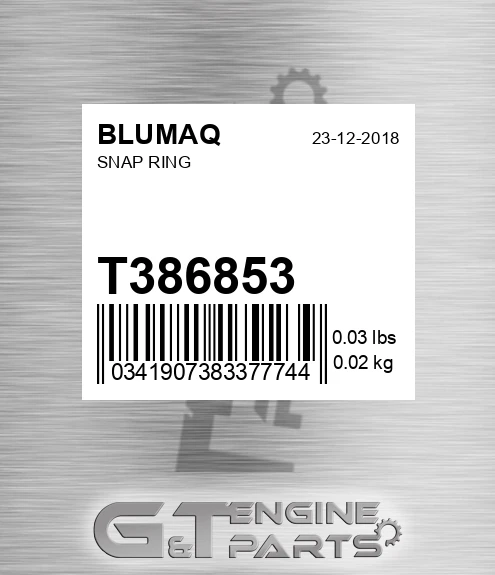 T386853 Snap Ring