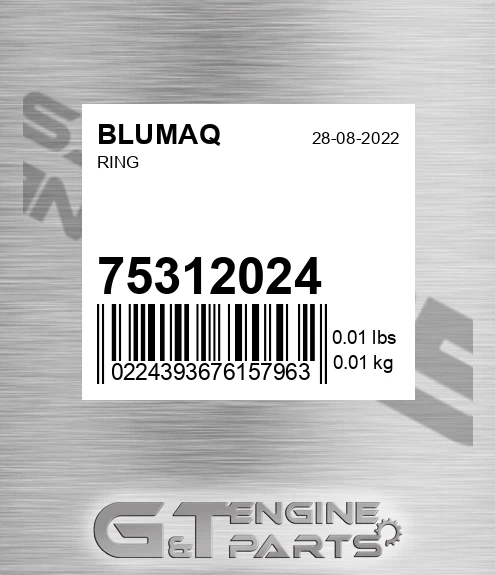 75312024 Ring