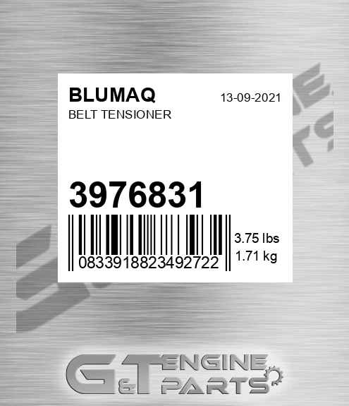 3976831 BLUMAQ Belt Tensioner