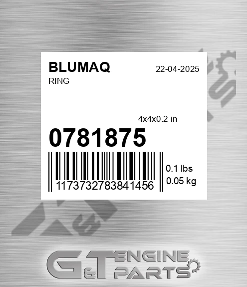 078-1875 Ring for BLUMAQ