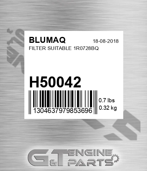 H50042 Filter Suitable 1r0728bq for BLUMAQ