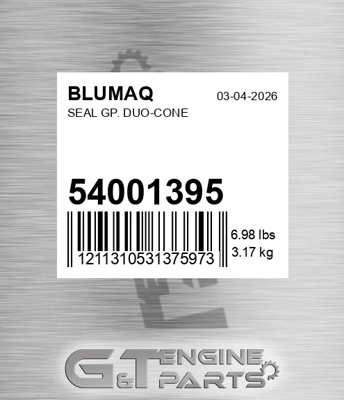 54001395 Seal Gp. Duo-cone for BLUMAQ
