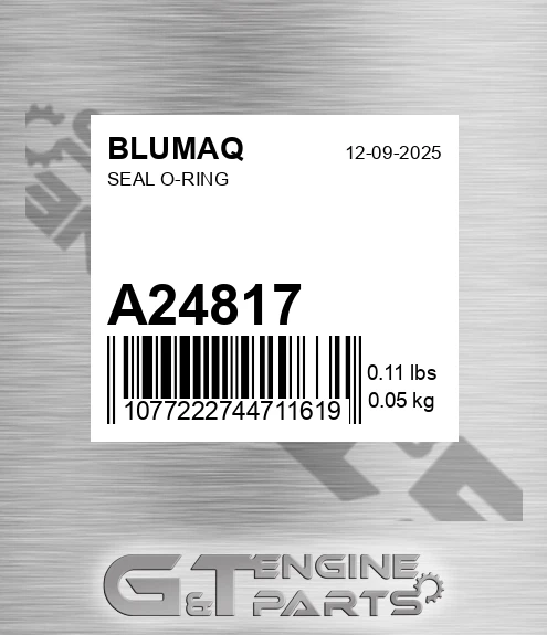 A24817 BLUMAQ Seal O-ring
