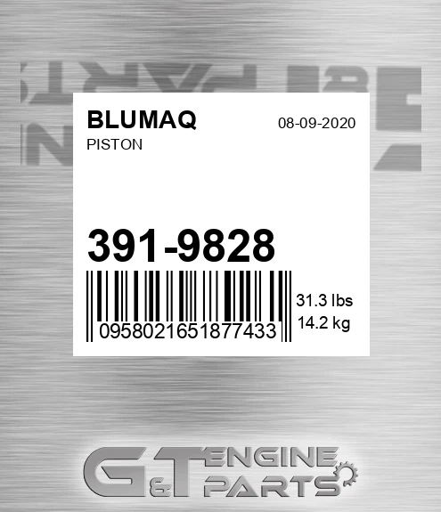 391-9828 Piston for BLUMAQ