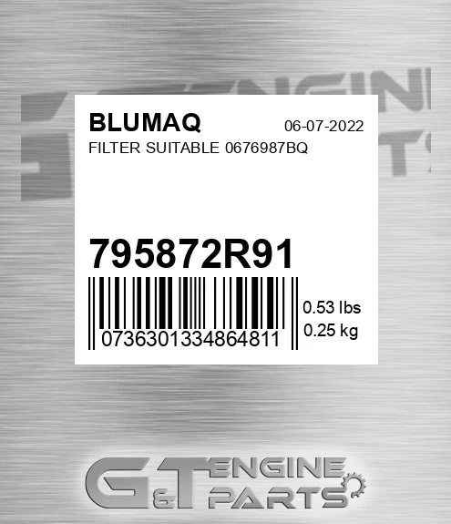 795872R91 BLUMAQ Filter Suitable 0676987bq