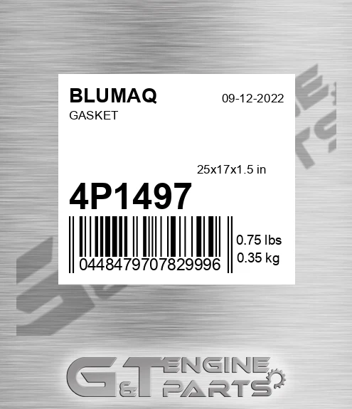 4P-1497 BLUMAQ Gasket
