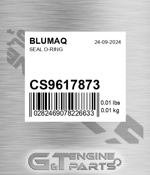 CS9617873 Seal O-ring