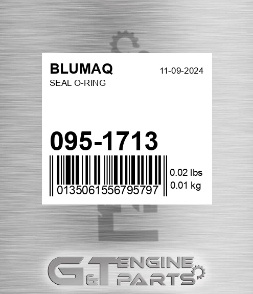 095-1713 Seal O-ring for BLUMAQ