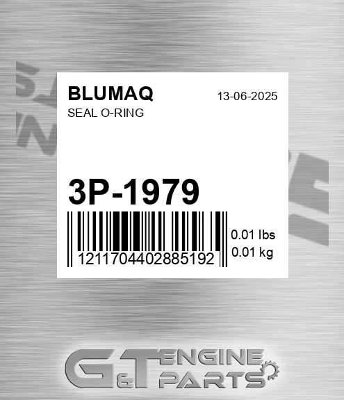 3P-1979 Seal O-ring