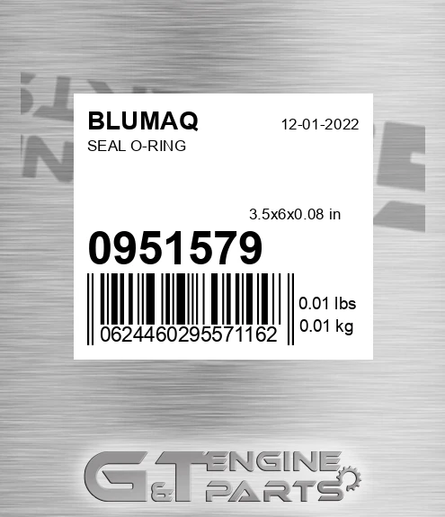 095-1579 Seal O-ring for BLUMAQ