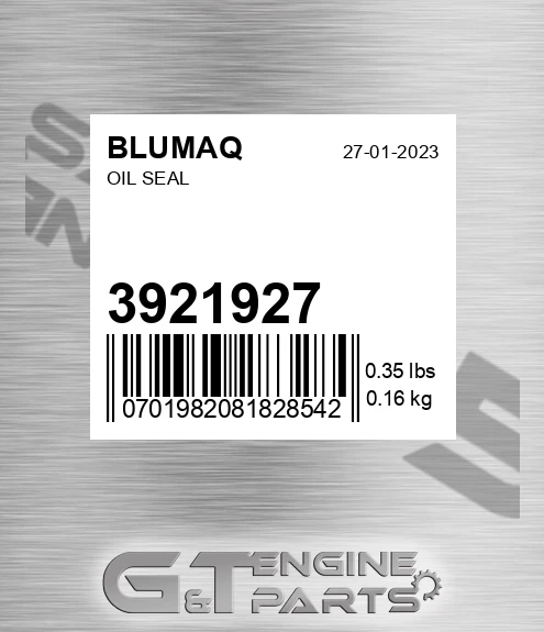 3921927 Oil Seal
