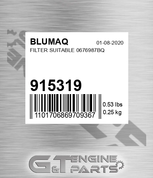 915319 BLUMAQ Filter Suitable 0676987bq