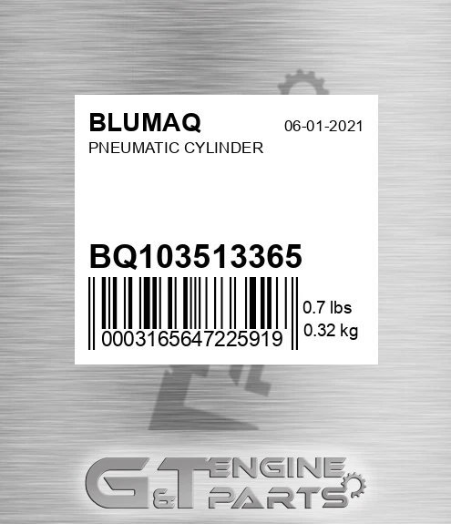BQ103513365 Pneumatic Cylinder for BLUMAQ