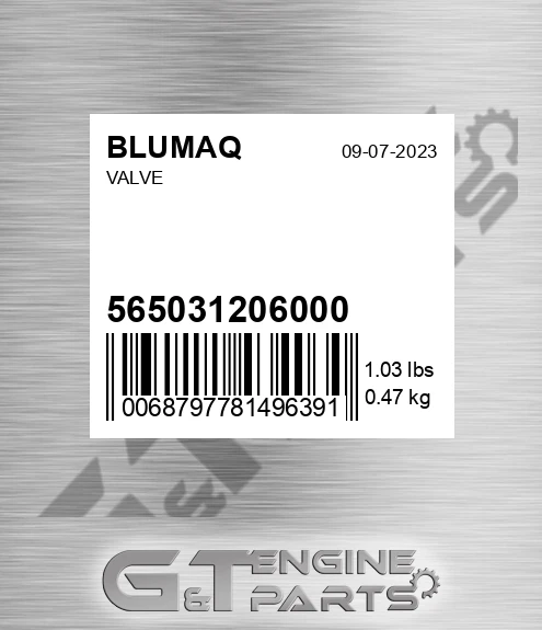 565031206000 Valve for BLUMAQ