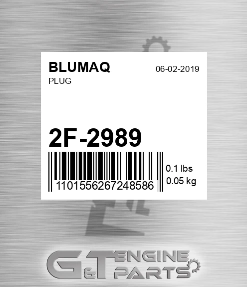 2F-2989 Plug