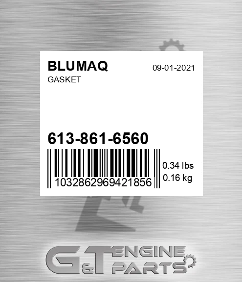613-861-6560 Gasket for BLUMAQ