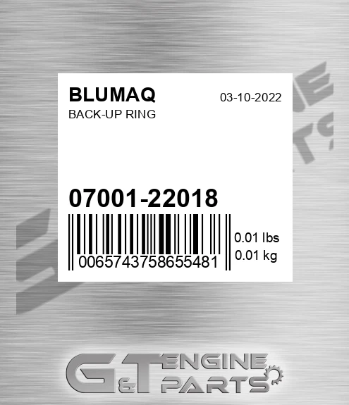 07001-22018 Back-up Ring for BLUMAQ