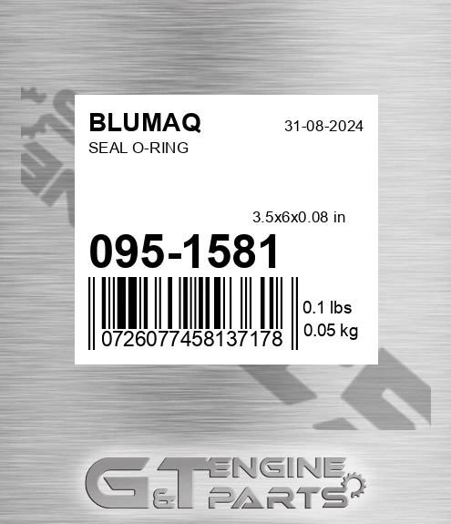 095-1581 Seal O-ring for BLUMAQ
