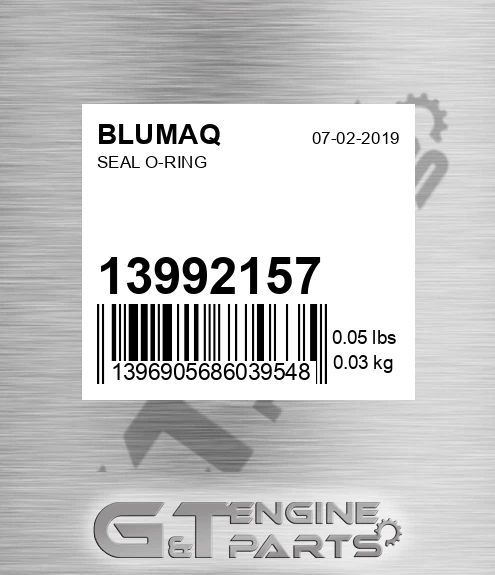 13992157 BLUMAQ Seal O-ring