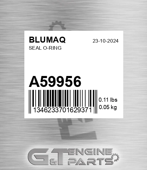 A59956 BLUMAQ Seal O-ring