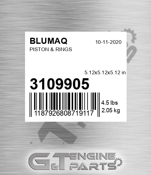 310-9905 Piston & Rings