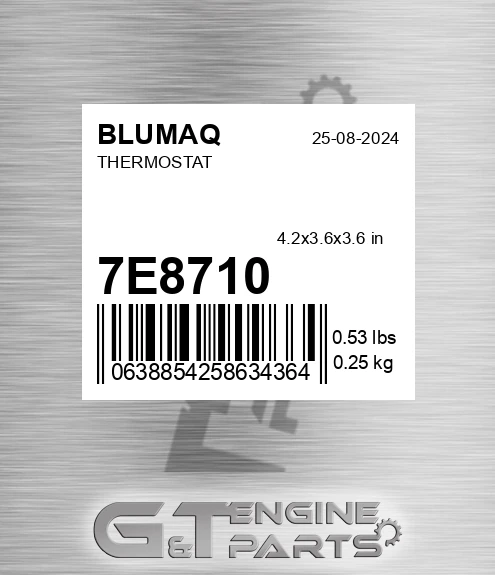 7E-8710 BLUMAQ Thermostat