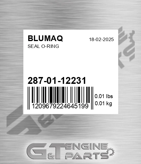 287-01-12231 Seal O-ring for BLUMAQ