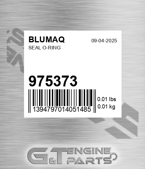 975373 BLUMAQ Seal O-ring