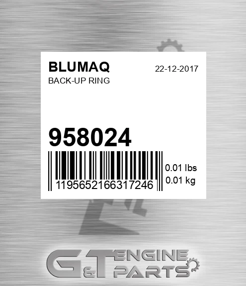 958024 Back-up Ring