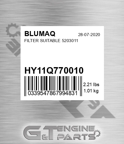 HY11Q770010 Filter Suitable 5203011 for BLUMAQ