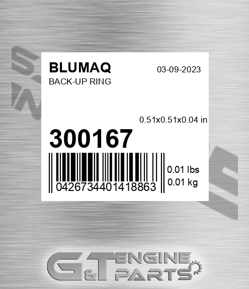 300167 Back-up Ring