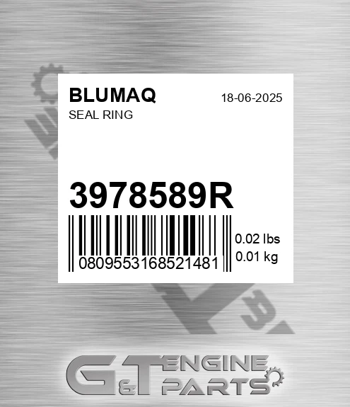 3978589R Seal Ring for BLUMAQ