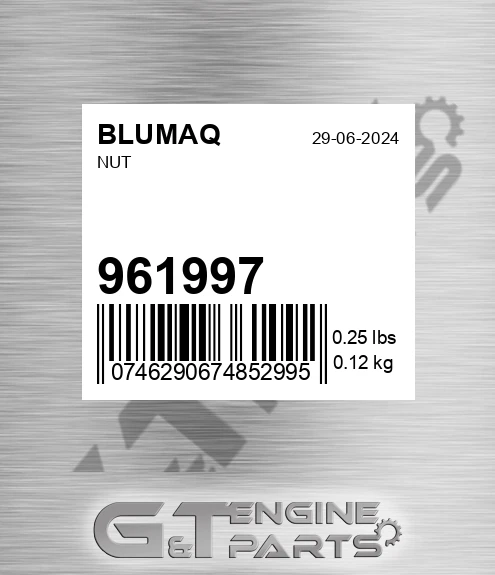 961997 BLUMAQ Nut