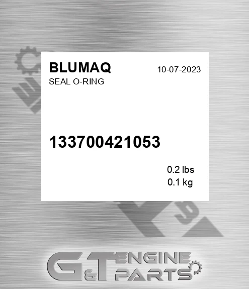133700421053 Seal O-ring for BLUMAQ