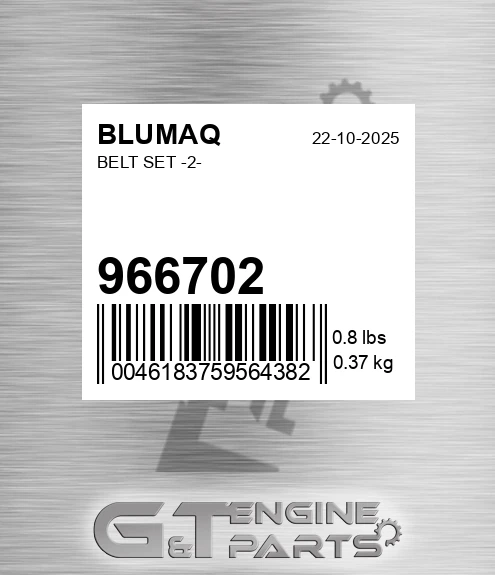 966702 Belt Set -2- for BLUMAQ