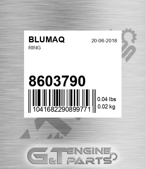 8603790 Ring