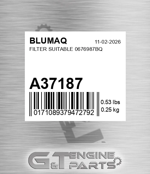 A37187 BLUMAQ Filter Suitable 0676987bq
