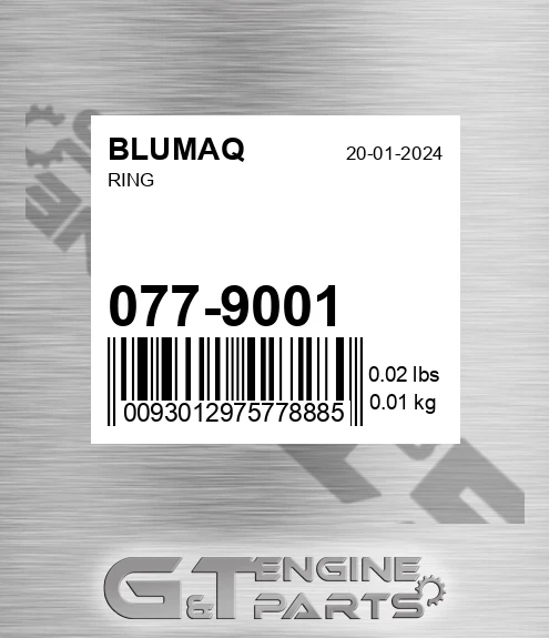 077-9001 Ring for BLUMAQ